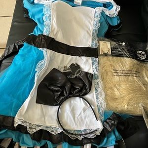 Alice in wonderland costume